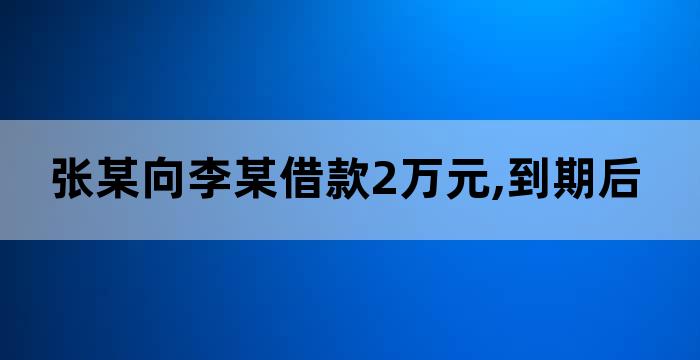 张某向安某借款10万元