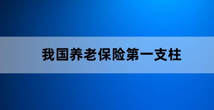 我国养老保险制度的三大支柱