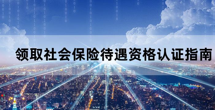 社保局养老金领取认证