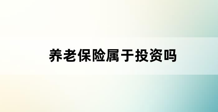 个人投养老保险政策
