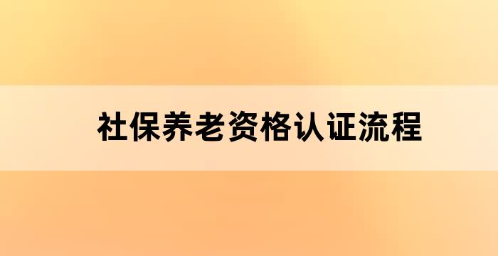 养老资格认证成功界面