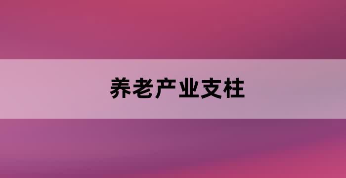 推动商业养老保险加快发展