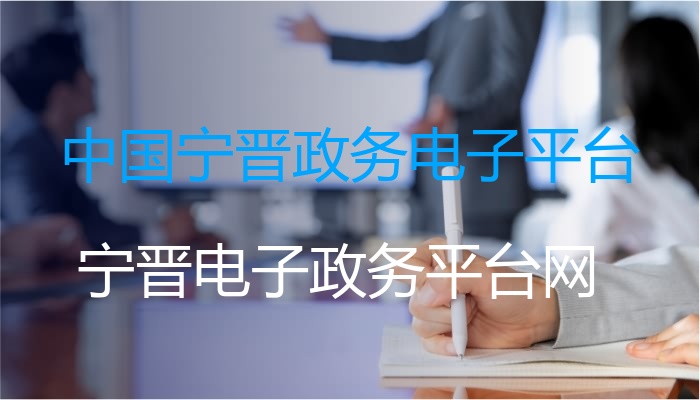 中国宁晋政务电子平台