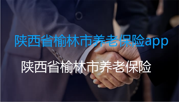 陕西省榆林市养老保险app
