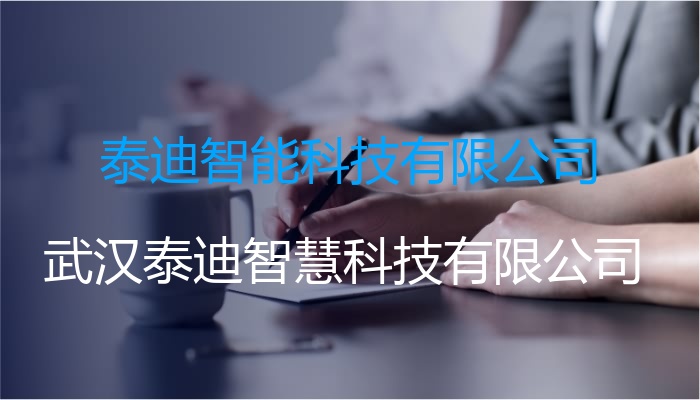 泰迪智能科技有限公司